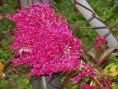 /album/fotogaleria/pa040094-jpg/
